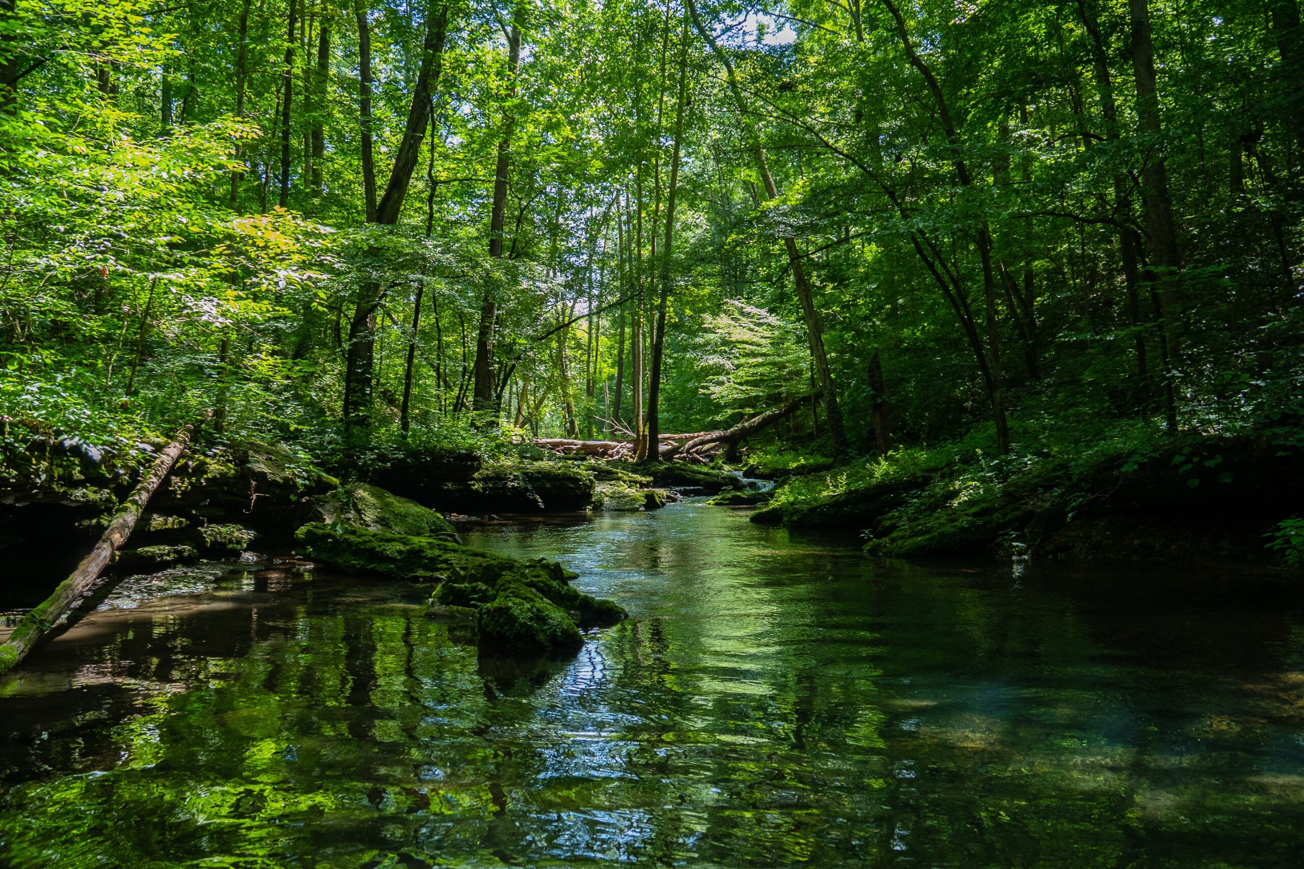 Why Visiting Natural Parks Should Be at the Top of Your Bucket List: The Benefits of Connecting with Nature.